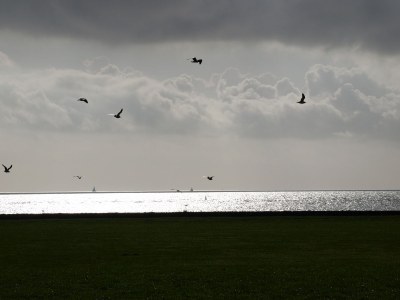 Holiday house Aquaronde 77 - Environment photo 29