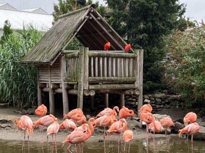 Holiday house Aquaronde 77 - Environment photo 35