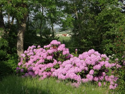 Holiday apartment Andresen - Outdoor photo 2
