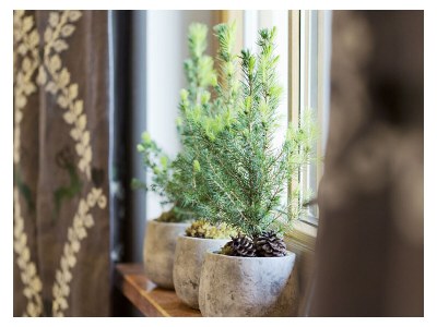 Apartment Schuhflicker - Outdoor photo 11