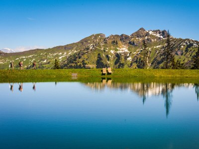 Apartment Schuhflicker - Environment photo 32