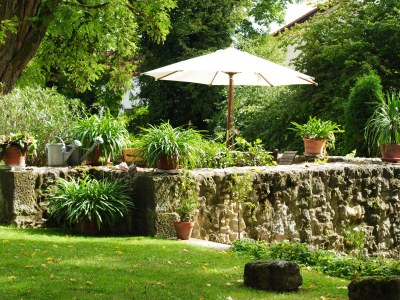 Holiday apartment Schloss Hofstetten - Outdoor photo 3