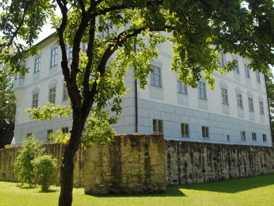 Holiday apartment Schloss Hofstetten - Outdoor photo 7
