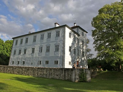 Holiday apartment Schloss Hofstetten - Outdoor photo 14