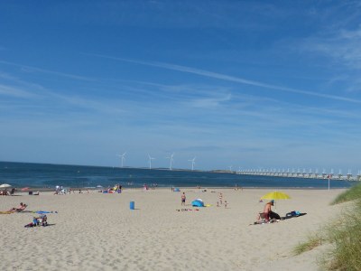 Holiday house Villa De Banjaard - Environment photo 20