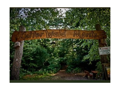 Holiday apartment Pabel - Environment photo 10