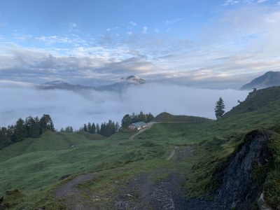 Chalet Bergwiesenhof - Document photo 36