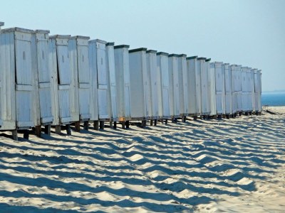 Chalet Duinpark Westerschouwen - Environment photo 16