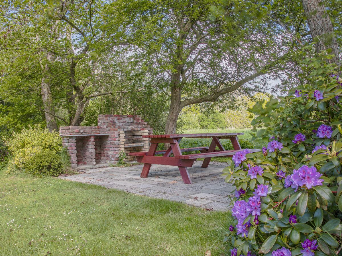 Cottage The Old Dike - Outdoor photo 3