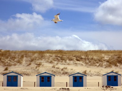 Holiday house Nieuwlanderweg - Environment photo 22