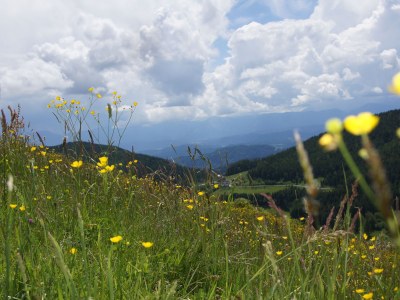 Holiday apartment - No title - - Outdoor photo 26