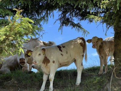 Holiday apartment - No title - - Outdoor photo 32