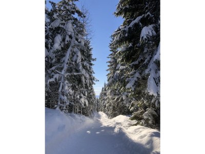 Holiday apartment - No title - - Outdoor photo 35