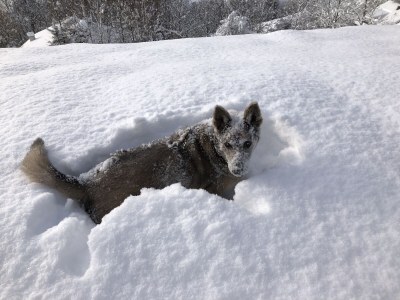 Holiday apartment - No title - - Outdoor photo 36