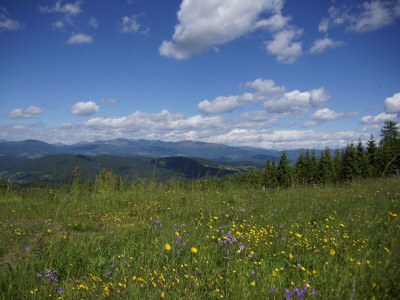 Holiday apartment Linda - Outdoor photo 24