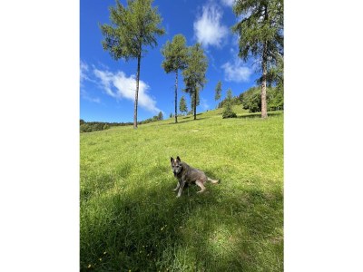 Holiday apartment Linda - Outdoor photo 25