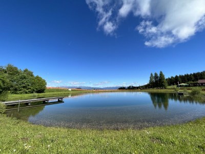 Holiday apartment Linda - Outdoor photo 28