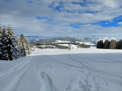 Holiday apartment Linda - Outdoor photo 31