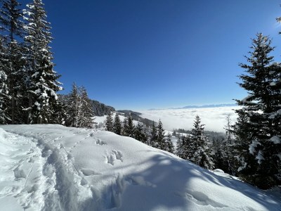 Holiday apartment Linda - Outdoor photo 33