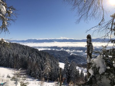 Holiday apartment Linda - Outdoor photo 36