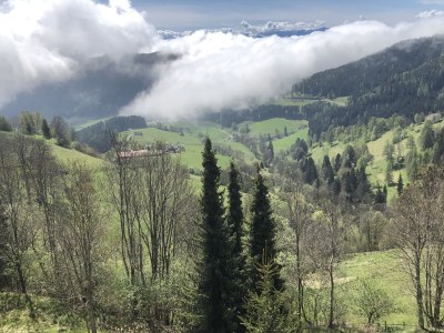 Holiday apartment Linda - Features photo 41