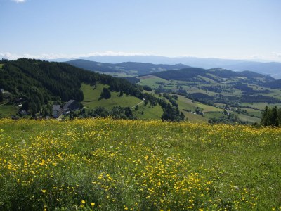 Holiday apartment Astrid - Outdoor photo 19