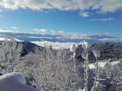 Holiday apartment Astrid - Outdoor photo 31