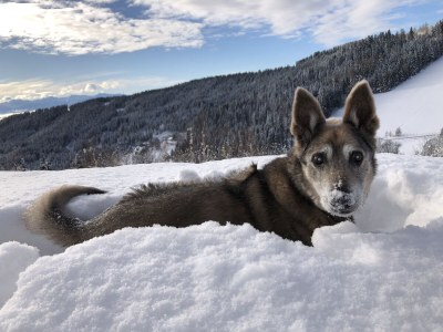 Holiday apartment Astrid - Outdoor photo 33