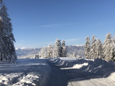 Holiday apartment Astrid - Outdoor photo 35