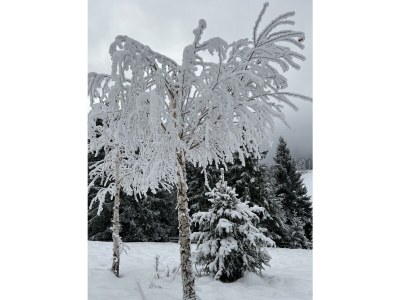 Holiday apartment Astrid - Features photo 38