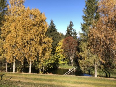 Holiday apartment Astrid - Features photo 41