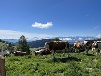 Holiday apartment - No title - - Outdoor photo 28