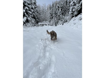 Holiday apartment - No title - - Outdoor photo 35