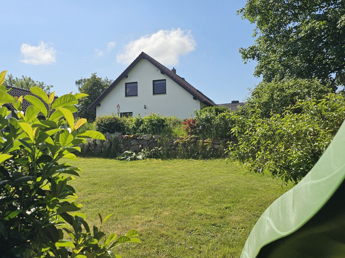 Holiday apartment field flowers - Outdoor photo 4