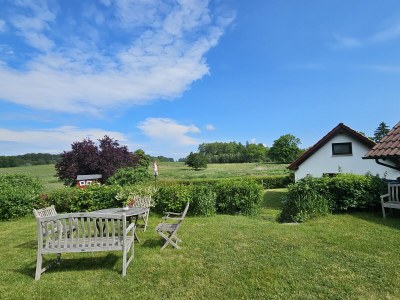 Holiday apartment field flowers - Outdoor photo 2