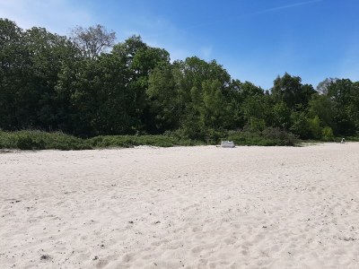 Holiday apartment field flowers - Environment photo 18