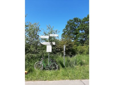 Holiday apartment field flowers - Environment photo 20