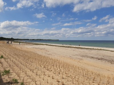 Holiday apartment field flowers - Environment photo 21