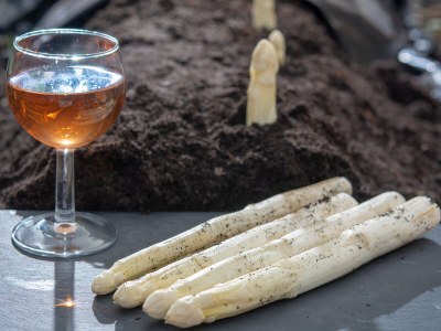 Holiday house Water villas Zuiderhoeve - 6P - Environment photo 26