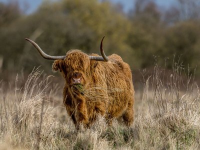 Holiday house Water villas Zuiderhoeve - 6P - Environment photo 28