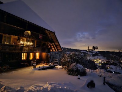 Holiday apartment Schlapbach - Outdoor photo 4