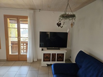 Holiday apartment Schlapbach - Features photo 7