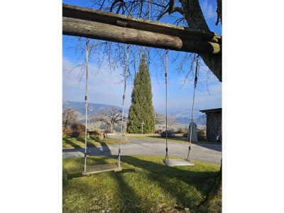 Holiday apartment Schlapbach - Environment photo 21