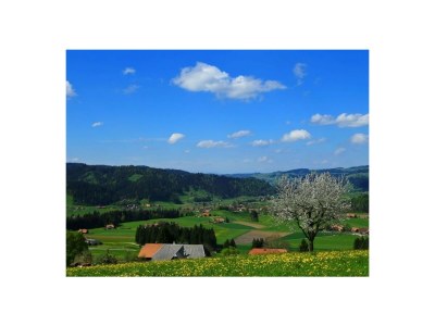 Holiday apartment Schlapbach - Environment photo 22