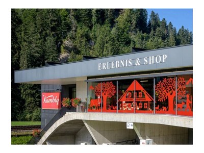 Holiday apartment Schlapbach - Environment photo 25