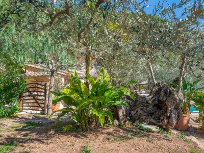 Finca Ses Begudes - Outdoor photo 24