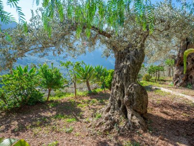 Finca Ses Begudes - Outdoor photo 25