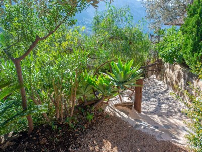 Finca Ses Begudes - Outdoor photo 26