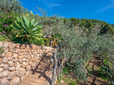 Finca Ses Begudes - Outdoor photo 29