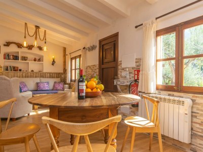 Finca Ses Begudes - Features photo 36